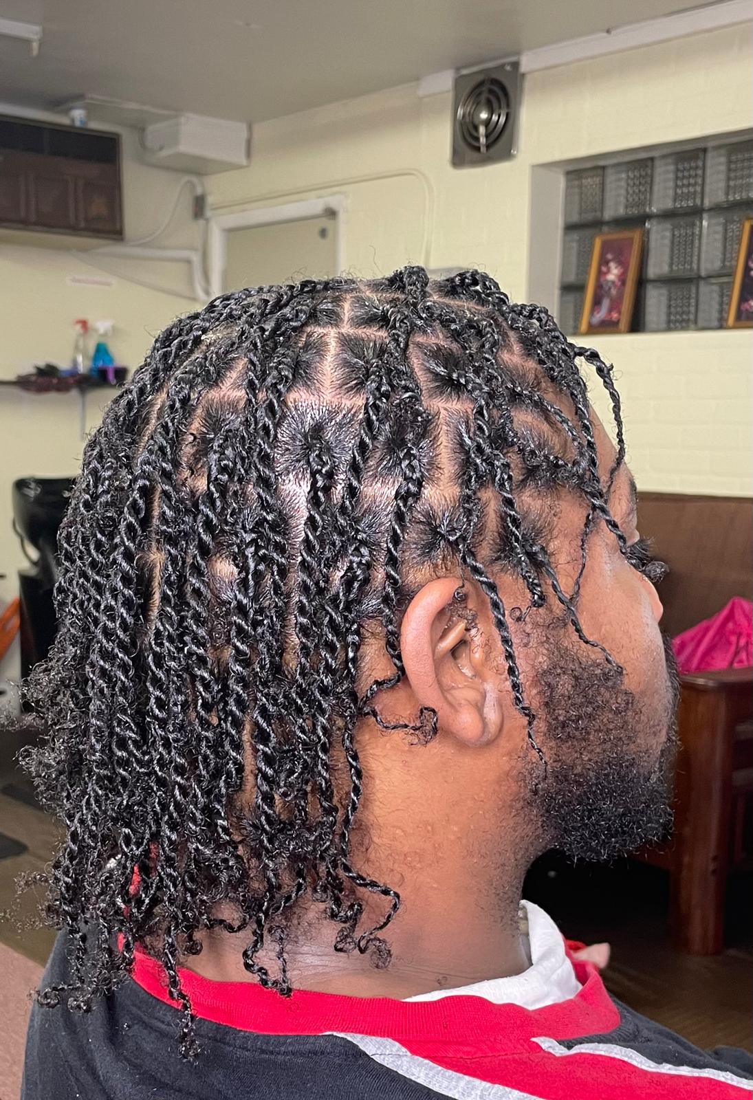 Two Strand Twist